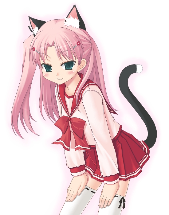 amamiya minato, maaryan (to heart), to heart (series), to heart 2, 00s, animal ears, cat ears, cat tail, school uniform, serafuku, solo, tail