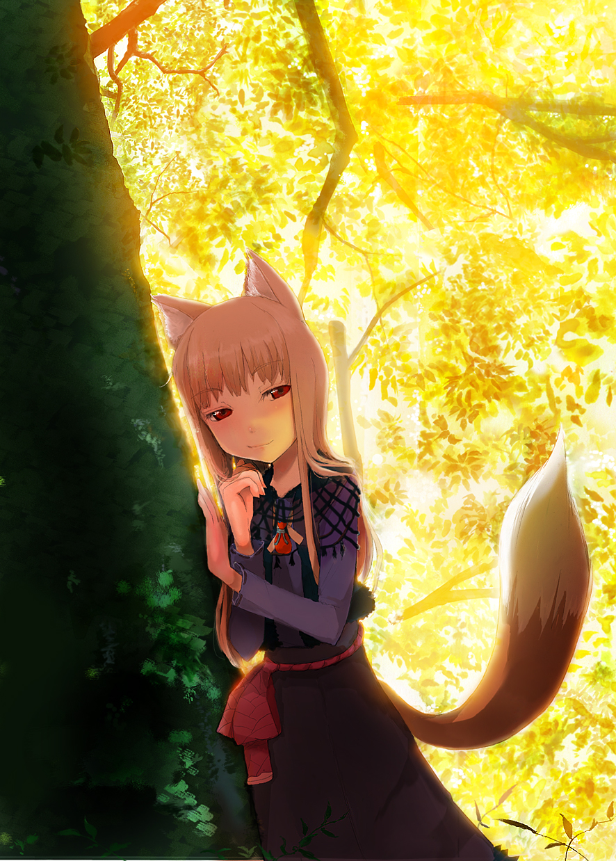 m-hit, holo, spice and wolf, highres, 00s, 1girl, animal ears, brown hair, female focus, forest, long hair, nature, red eyes, solo, tail, tree, wolf ears, wolf tail