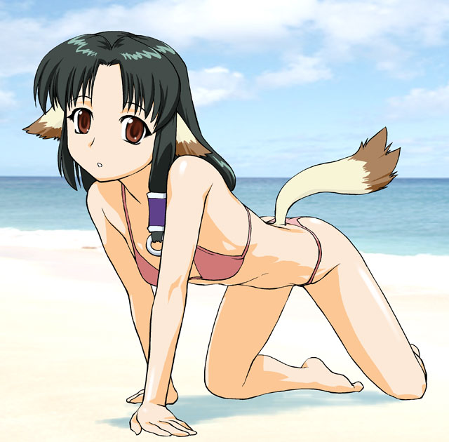 ueyama michirou, eruruu, utawarerumono, 00s, 1girl, all fours, animal ears, barefoot, beach, bikini, day, dog ears, female focus, outdoors, solo, swimsuit, tail