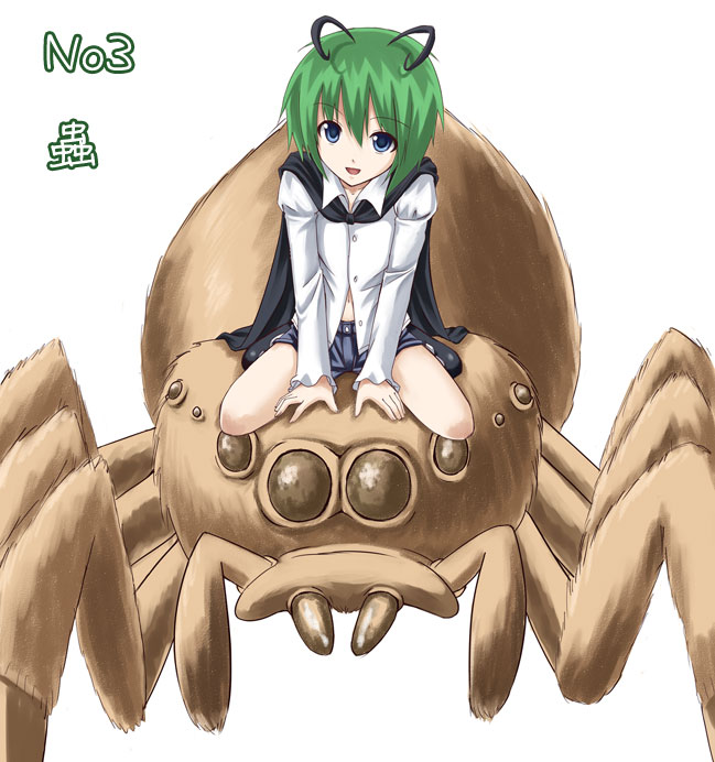 yanphoenix, wriggle nightbug, touhou, 1girl, antennae, bug, epic spider mustache, female focus, solo, spider, white background