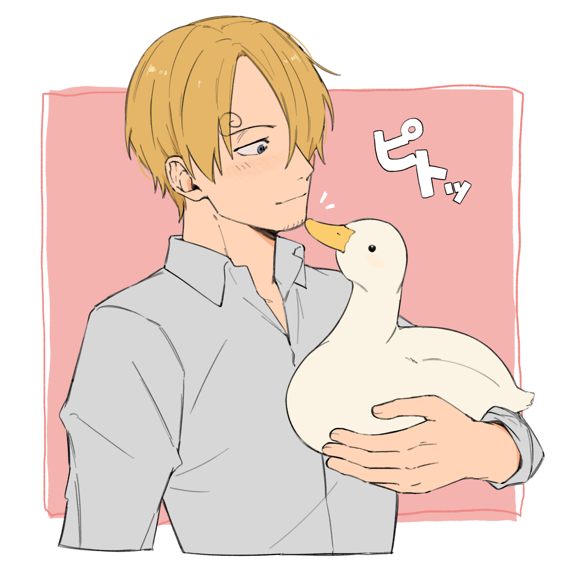 iqracha, sanji (one piece), one piece, highres, translation request, 1boy, animal, bird, blonde hair, border, closed mouth, collared shirt, cropped torso, curly eyebrows, duck, grey shirt, holding, holding animal, holding bird, looking at animal, male focus, shirt, short hair, solo, upper body, white border