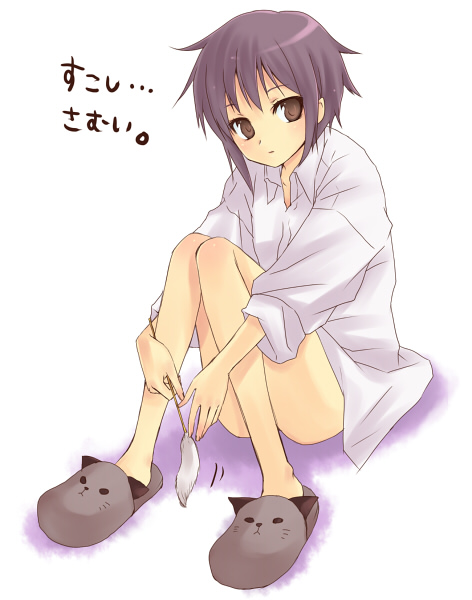 hijiki (hijikini), hijikini, nagato yuki, suzumiya haruhi no yuuutsu, eyebrows, translated, 00s, 1girl, alternate costume, animal slippers, blush, bottomless, cat slippers, cat teaser, closed mouth, collared shirt, dress shirt, female focus, full body, looking at viewer, motion lines, purple hair, shirt, short hair, sitting, sleeves rolled up, solo, text focus, white shirt, yellow eyes