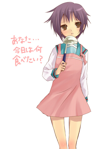 hijiki (hijikini), hijikini, nagato yuki, suzumiya haruhi no yuuutsu, translated, 00s, 1girl, apron, female focus, ladle, simple background, solo, white background