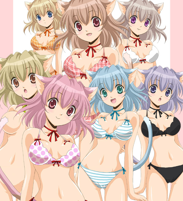 sinko (sinsin), original, 6+girls, animal ears, aqua eyes, blonde hair, blue eyes, blue hair, blush, bra, brown hair, cat ears, cat girl, cat tail, choker, female focus, friends, lingerie, multiple girls, nude, panties, pink hair, purple eyes, purple hair, red eyes, short hair, striped clothes, striped panties, tail, underwear, underwear only