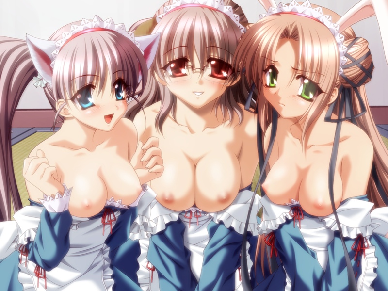 araiguma, futaba hiromi, niimi haruka, niki sarasa, 2×4, duplicate, game cg, 3girls, animal ears, bare shoulders, blue eyes, blush, breasts, brown hair, cat ears, cat girl, clothes pull, female focus, glasses, green eyes, large breasts, lineup, long hair, maid, multiple girls, nipples, ponytail, rabbit ears, red eyes, shirt pull