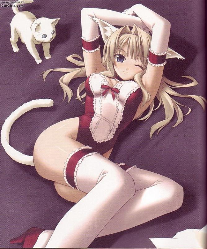 hashimoto takashi, duplicate, animal ears, blonde hair, blue eyes, blush, cat, cat ears, cat tail, elbow gloves, gloves, high heels, kittysuit, leotard, nontraditional playboy bunny, one eye closed, shoes, solo, tail, thighhighs, watermark, wink