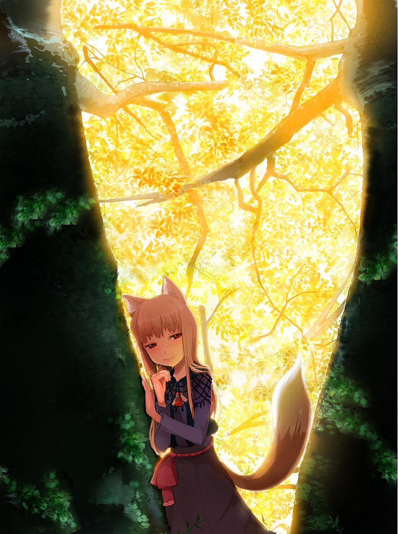 m-hit, holo, spice and wolf, 00s, animal ears, brown hair, forest, long hair, nature, red eyes, solo, tail, wolf ears, wolf tail