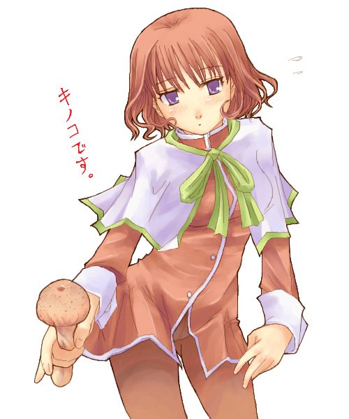 blue (ao maru), amano mishio, kanon, 1girl, female focus, mushroom, pantyhose, red skirt, skirt, solo