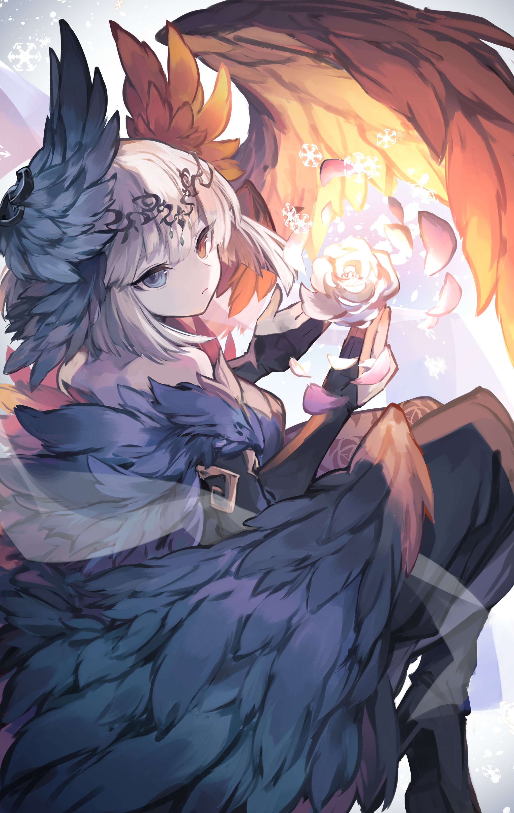 kuuron (moesann17), reeche (p&d), puzzle & dragons, absurdres, highres, 1girl, blue eyes, blue wings, flower, head wings, headpiece, heterochromia, orange eyes, orange wings, petals, rose, rose petals, short hair, solo, two-tone wings, white flower, white hair, white rose, wings