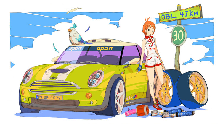 opon, mini cooper, bird, car, cloud, day, motor vehicle, orange hair, road, sign, sky, solo, tyres, vehicle focus