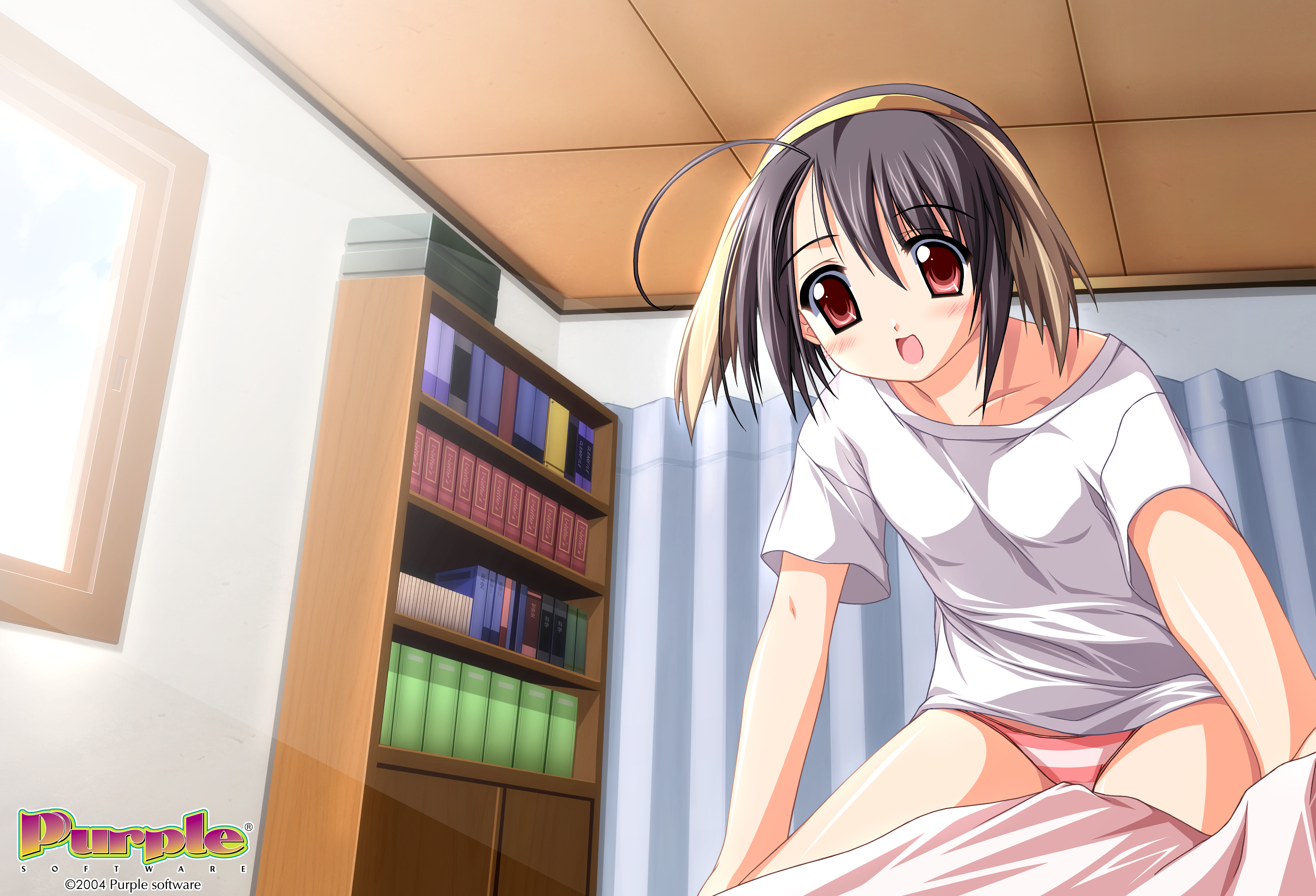 iwasaki kouji, himekawa mia, majipuri, purple software, absurdres, highres, non-web source, official art, 00s, 1girl, 2004, ahoge, animal ears, antenna hair, bed, black hair, blush, book, bookshelf, brown hair, ceiling, curtains, dog ears, female focus, girl on top, hairband, indoors, kneeling, leaning forward, multicolored hair, no pants, off shoulder, open mouth, panties, red eyes, shirt, short hair, solo, straddling, striped clothes, striped panties, sunlight, t-shirt, tiles, two-tone hair, underwear, window