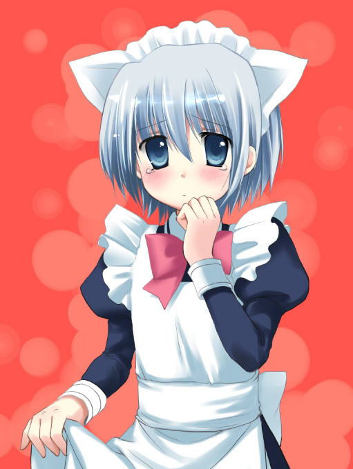 chany, ayasaki hayate, hayate no gotoku!, 00s, 1boy, animal ears, cat boy, cat ears, crossdressing, crossdressing (mtf), maid, male focus, male maid, solo, trap
