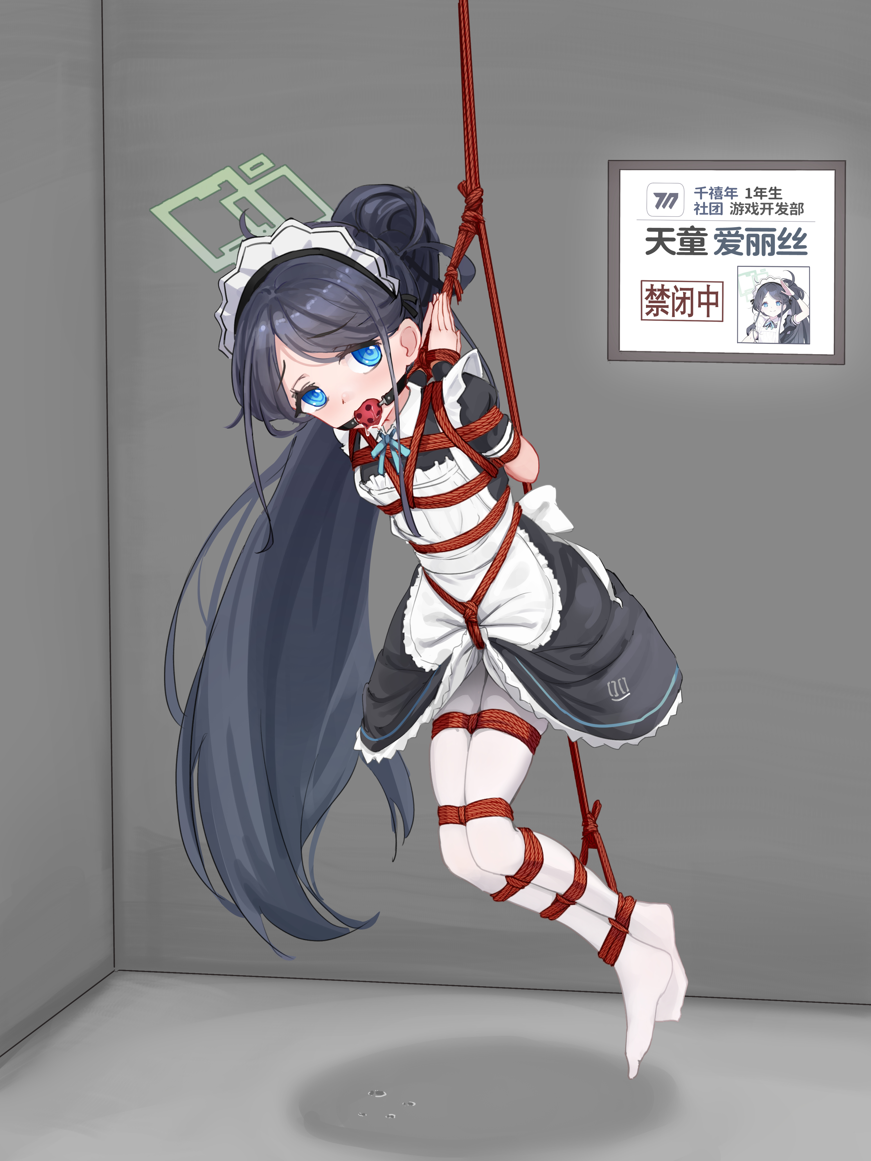 tasogare unagi, aris (blue archive), aris (maid) (blue archive), blue archive, absurdres, chinese commentary, commentary request, commission, highres, variant set, 1girl, apron, aqua halo, arms behind back, ball gag, bdsm, black dress, blue necktie, bondage, bound, bound arms, bound legs, character name, chinese text, dress, full body, gag, green halo, halo, long hair, maid, maid apron, maid headdress, necktie, pantyhose, red rope, restrained, rope, shibari, shibari over clothes, simplified chinese text, solo, suspension, very long hair, white pantyhose