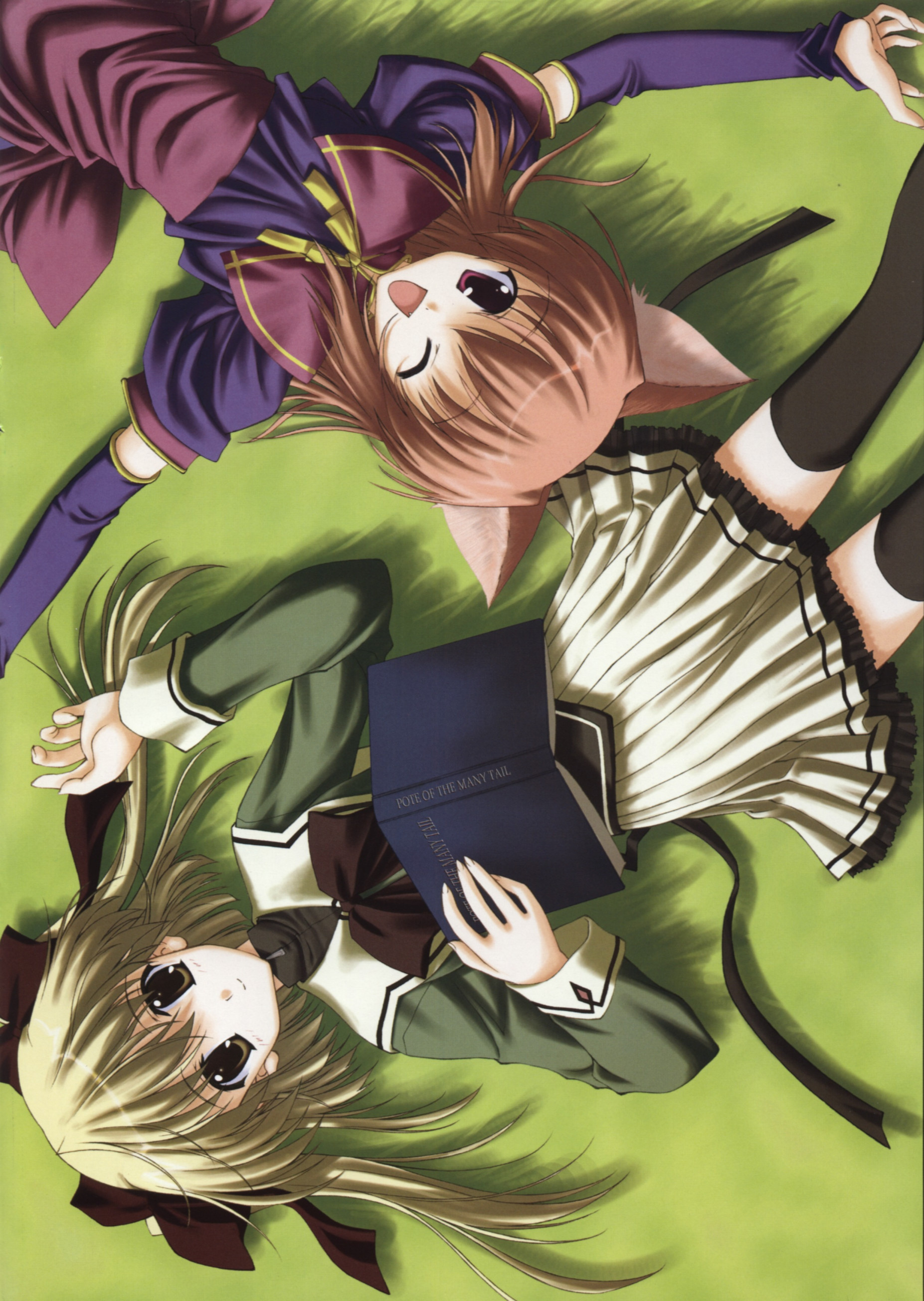 nanao naru, absurdres, highres, animal ears, book, thighhighs, wink, zettai ryouiki