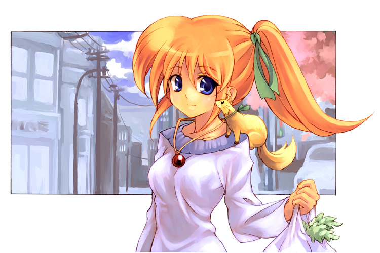 kouno hikaru, raising heart, raising heart (standby mode), takamachi nanoha, yuuno scrya, lyrical nanoha, mahou shoujo lyrical nanoha, mahou shoujo lyrical nanoha a's, mahou shoujo lyrical nanoha strikers, 00s, 1girl, bag, car, ferret, groceries, grocery bag, jewelry, motor vehicle, necklace, purple eyes, shopping bag, side ponytail