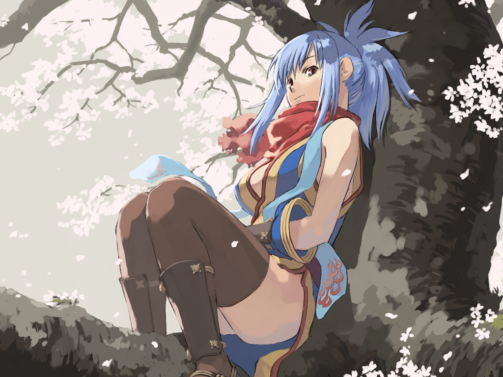 fuchida kazuhiro, ninja (ragnarok online), ragnarok online, traditional clothes, bad id, bad pixiv id, 1girl, against tree, blue hair, brown eyes, brown thighhighs, cherry blossoms, female focus, in tree, ninja, pink eyes, ponytail, red scarf, scarf, sitting, sitting in tree, sleeveless, solo, thighhighs, tree
