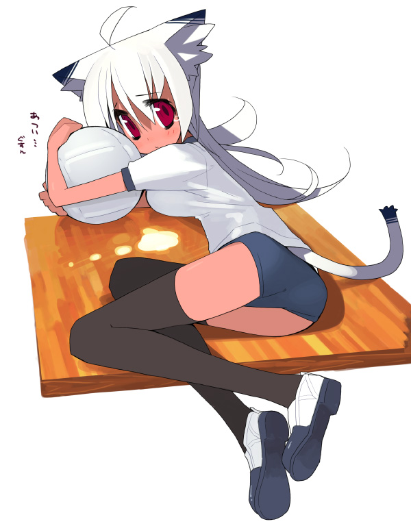 kusaka kokage, kokage-san, original, 1girl, animal ears, ball, breasts, cat ears, cat tail, dark-skinned female, dark skin, female focus, gym uniform, long hair, medium breasts, red eyes, solo, tail, thighhighs, volleyball, volleyball (object), white hair, zettai ryouiki