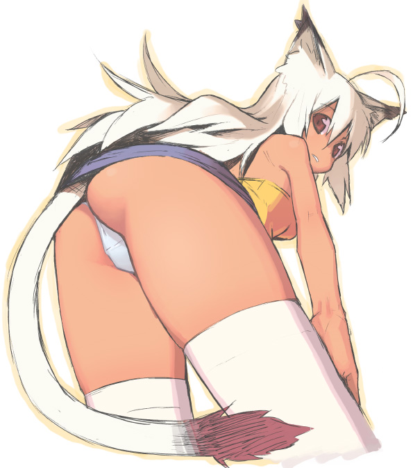 kusaka kokage, kokage-san, original, animal ears, ass, cat ears, cat tail, panties, pantyshot, red eyes, solo, tail, thighhighs, underwear, white hair, white thighhighs