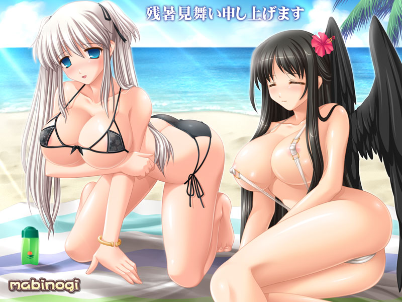 kafu (logaemon), morrighan, nao (mabinogi), mabinogi, 2girls, ass, beach, bikini, breasts, cleavage, closed eyes, copyright name, day, half updo, large breasts, multiple girls, nipple slip, nipples, side-tie bikini bottom, slingshot swimsuit, swimsuit, wings