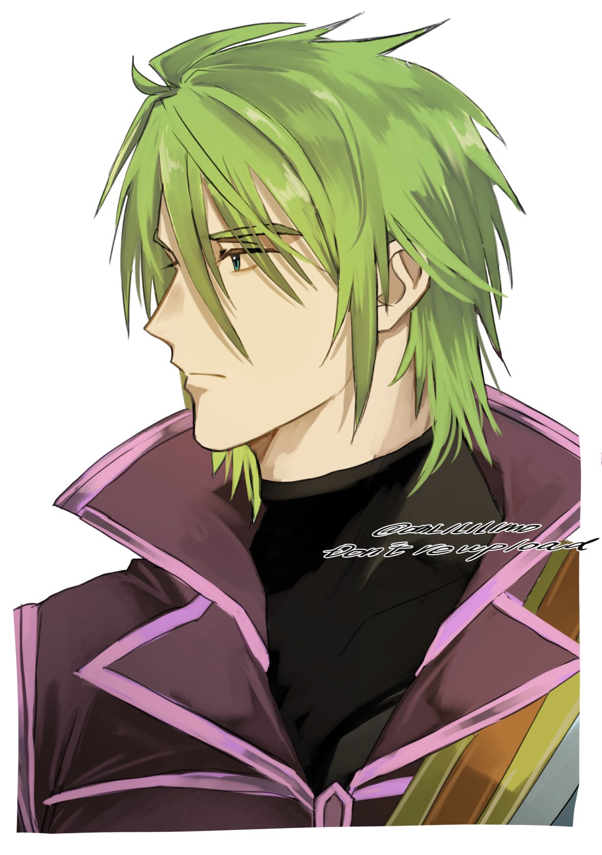 omlililimo, stefan (fire emblem), fire emblem, fire emblem: radiant dawn, nintendo, highres, 1boy, colored skin, green eyes, green hair, jacket, looking to the side, male focus, orange skin, portrait, purple jacket, solo