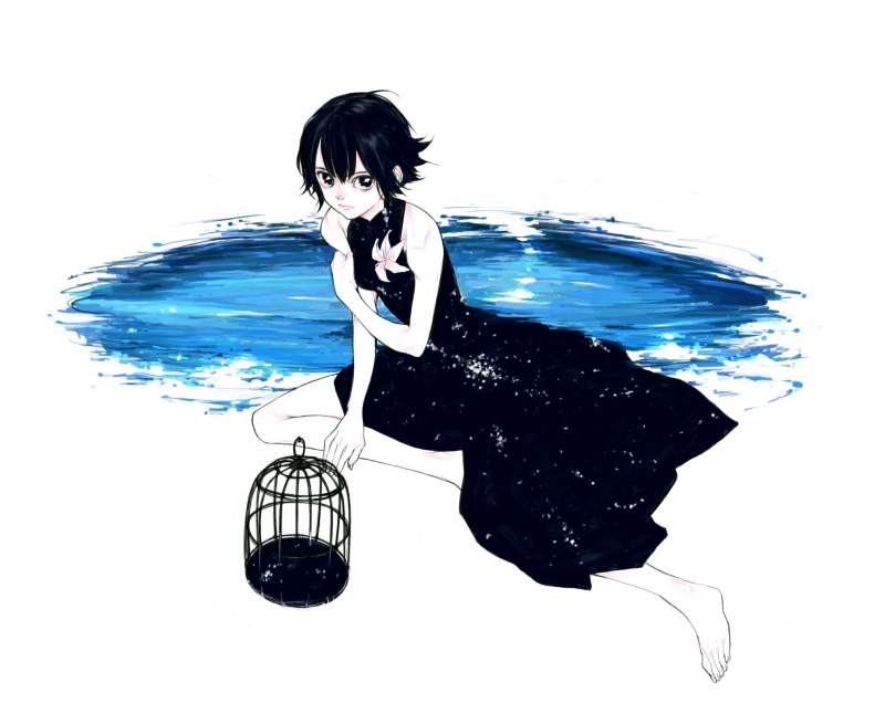 es (cah60700), original, 1girl, bare shoulders, barefoot, birdcage, black eyes, black hair, cage, dress, feet, female focus, flower, from above, limited palette, short hair, simple background, sleeveless, sleeveless dress, solo, white background