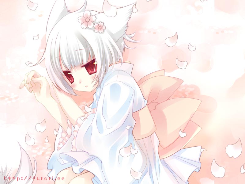 hinayuki usa, original, 1girl, animal ears, bow, cat ears, cherry blossoms, female focus, japanese clothes, kimono, large bow, lying, on side, petals, red eyes, short hair, solo, white hair