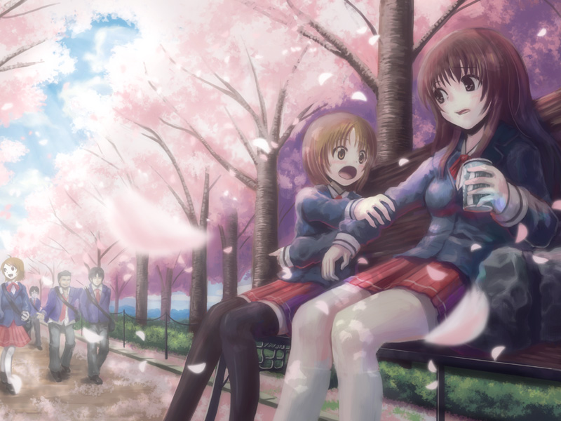 hyuuga azuri, arm grab, white legwear, 2girls, bag, bench, black socks, brown eyes, brown hair, can, cherry blossoms, day, holding, kneehighs, long hair, looking at another, multiple girls, open mouth, outdoors, petals, pleated skirt, pointing, school bag, school uniform, serafuku, sitting, skirt, socks, thighhighs, walking