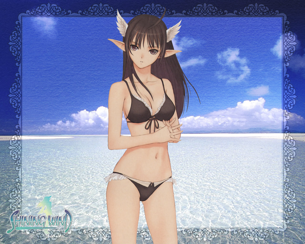 tony taka, xecty ein, sega, shining (series), shining wind, 1girl, ahoge, beach, bikini, black bikini, breasts, brown eyes, brown hair, cleavage, day, female focus, head wings, large breasts, ocean, outdoors, pointy ears, solo, swimsuit, thighs, water, wings