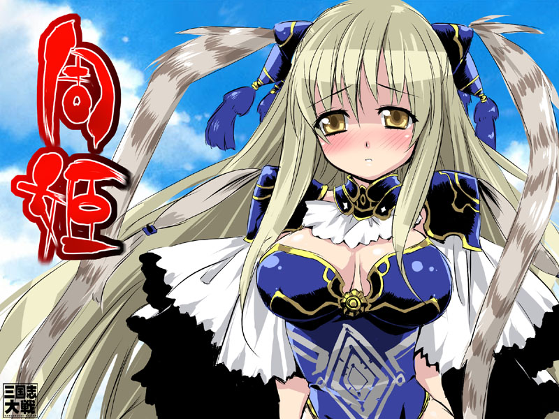 hotori (sion), shuuki, shuuki (sangokushi taisen), syuuki, sangokushi taisen, silver hair, 1girl, armor, blush, breasts, cape, choker, cleavage, cloud, day, embarrassed, female focus, hair ornament, impossible clothes, large breasts, leotard, long hair, outdoors, shiny clothes, sky, solo, very long hair, wind, yellow eyes