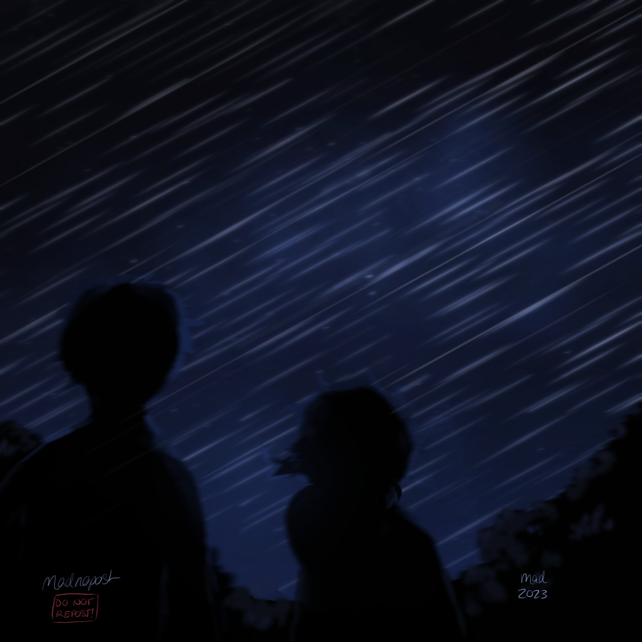 madnopost, basil (faraway) (omori), basil (omori), sunny (omori), omori, highres, 2023, 2boys, artist name, male focus, multiple boys, night, night sky, outdoors, shooting star, short hair, silhouette, sky, star (sky), starry sky