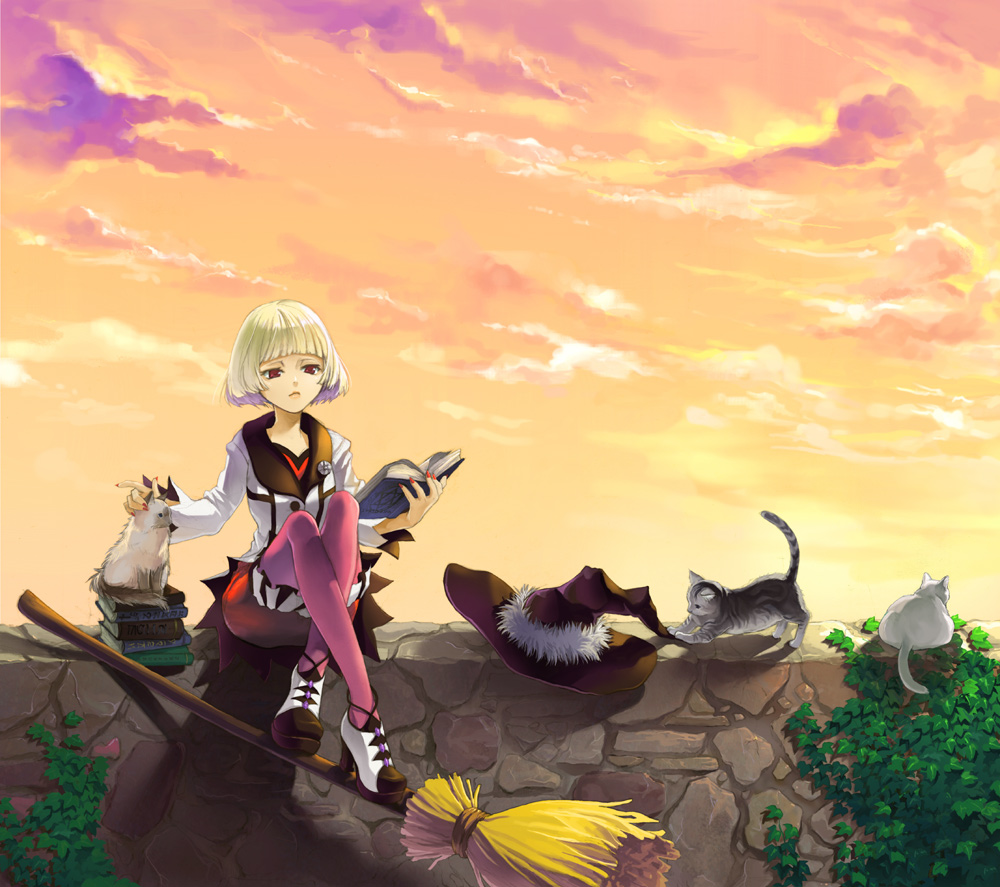 degrees celsius, original, bad id, bad pixiv id, blonde hair, broom, cat, red eyes, short hair, sky, solo, witch
