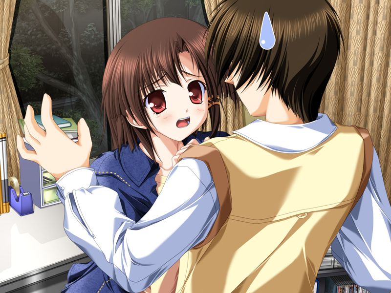 tsukimori hiro, niiyama aoi, akiiro renka, game cg, non-web source, official art, 1boy, 1girl, brown eyes, brown hair, hair tubes, hug, open mouth, short hair, tears, window