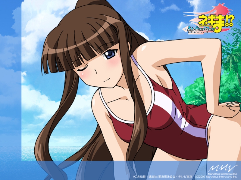 ookouchi akira, mahou sensei negima!, 00s, blue eyes, blush, brown hair, one-piece swimsuit, one eye closed, ponytail, single vertical stripe, solo, swimsuit, wink