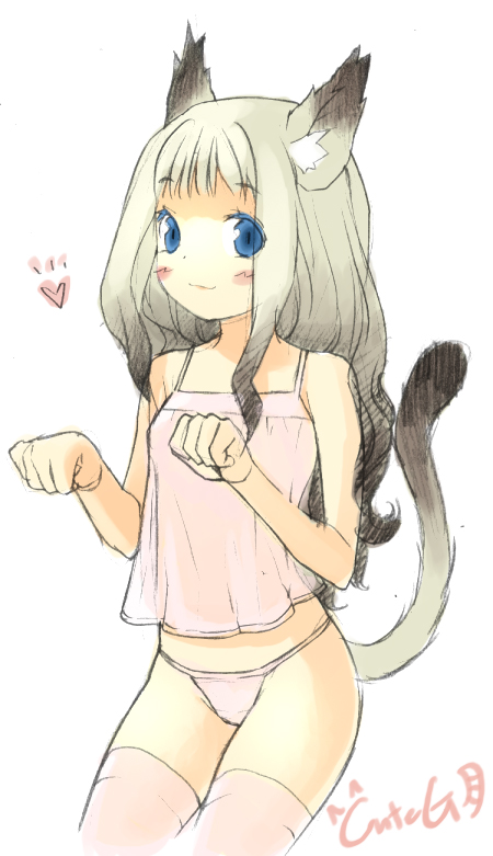cuteg, bad id, bad pixiv id, 1girl, animal ears, blue eyes, cat ears, cat tail, female focus, grey hair, panties, solo, tail, thighhighs, underwear