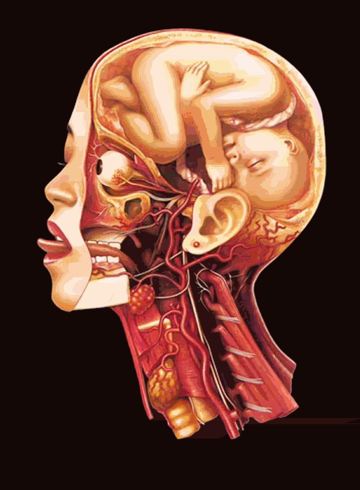 head, highres, tagme, 1girl, anatomy, baby, bald, black background, bone, closed eyes, dithering, earrings, fetus, guro, jewelry, one eye closed, red lips, simple background, tongue, tongue out, trachea, umbilical cord, veins, what, x-ray