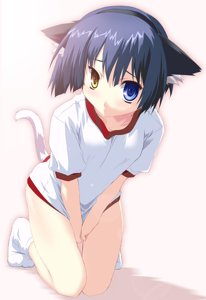 yamano sachi, original, 1girl, animal ears, female focus, gym uniform, heterochromia, socks, solo, tail, v arms