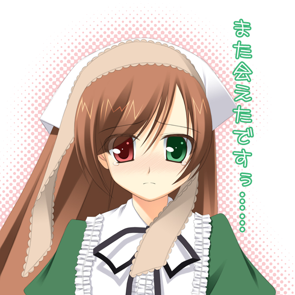 gaou (babel), suiseiseki, rozen maiden, translation request, 00s, 1girl, brown hair, dress, female focus, halftone, halftone background, headscarf, heterochromia, long hair, solo, text focus, upper body, white headscarf