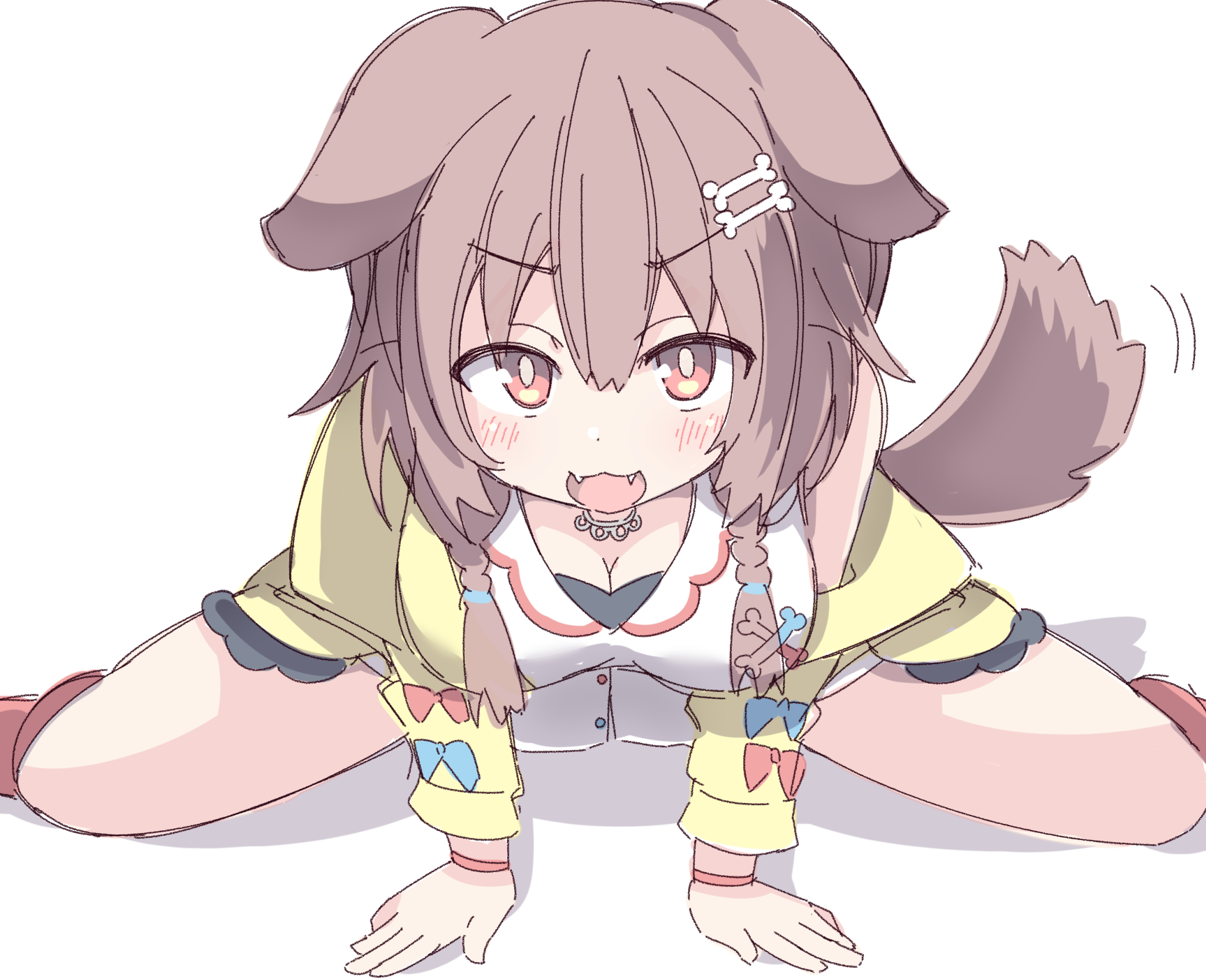 umberblack, inugami korone, inugami korone (1st costume), hololive, commentary request, highres, 1girl, :d, animal ears, arm support, blue bow, blush, bone hair ornament, bow, braid, breasts, brown hair, cartoon bone, cleavage, dog ears, dog girl, dog tail, fangs, hair between eyes, hair ornament, hair over shoulder, jacket, leaning forward, long sleeves, looking at viewer, low twintails, medium breasts, motion lines, off shoulder, open clothes, open jacket, open mouth, red bow, red eyes, red socks, shadow, simple background, smile, socks, solo, tail, tail wagging, twin braids, twintails, virtual youtuber, white background, yellow jacket