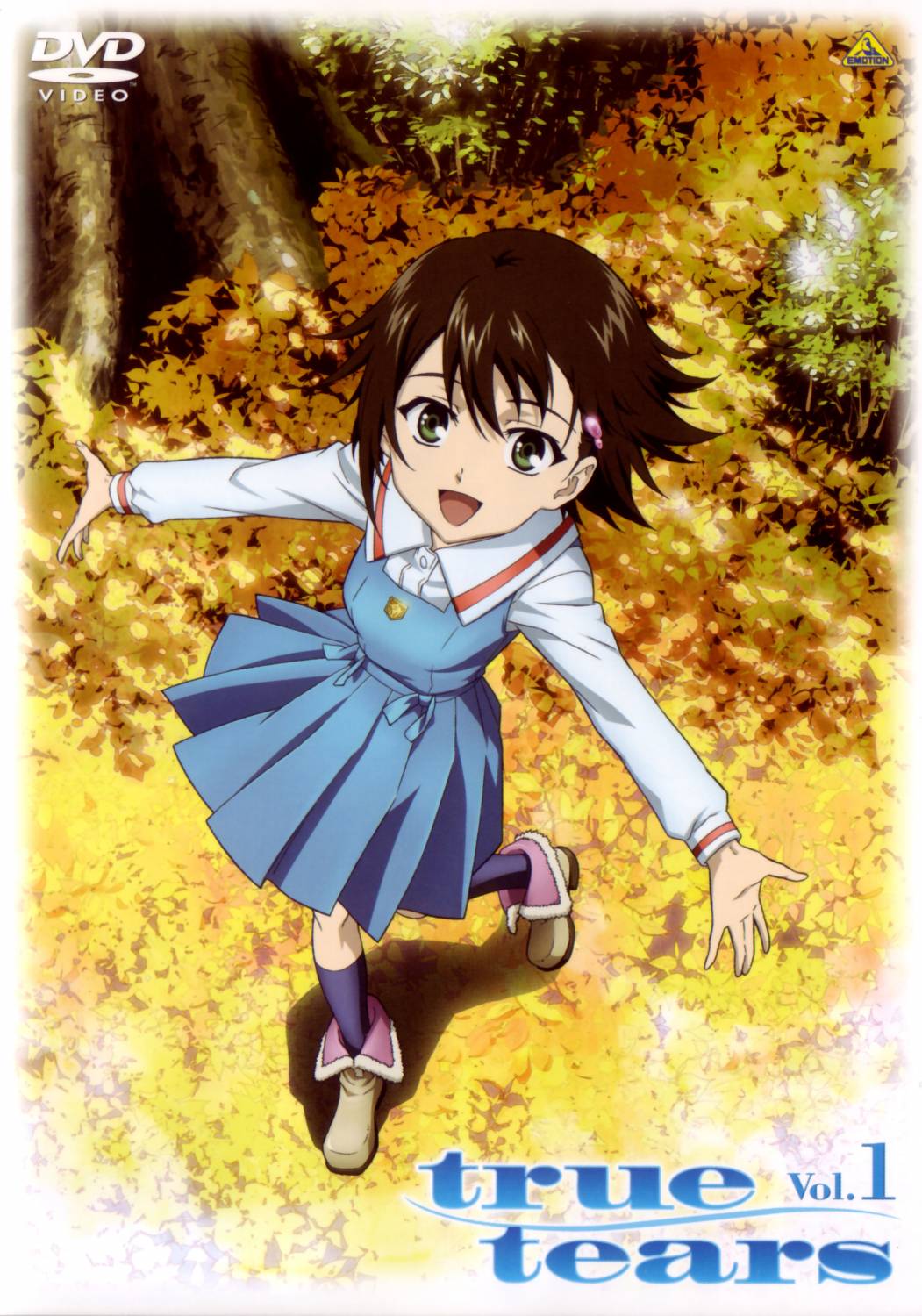 sekiguchi kanami, isurugi noe, true tears, highres, scan, 00s, cover, dvd cover, school uniform, serafuku, solo