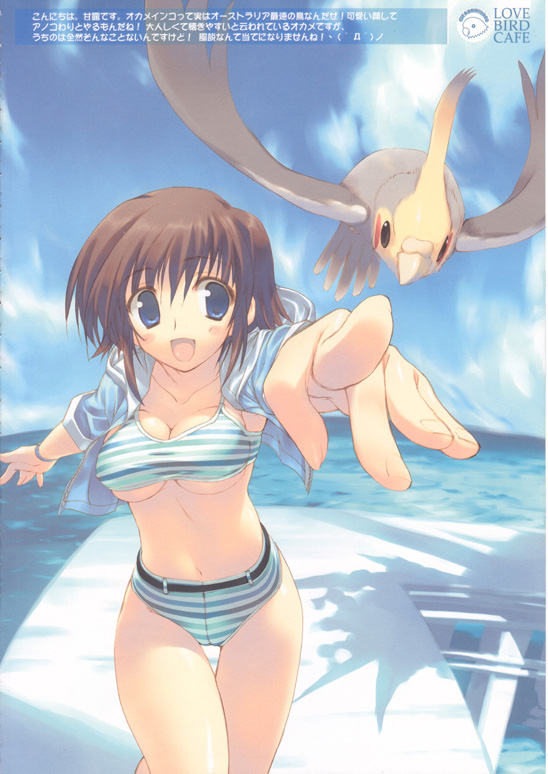 amazuyu tatsuki, original, 1girl, beach, bikini, bird, blue eyes, breasts, brown hair, cleavage, cover, cover page, day, female focus, jacket, medium breasts, outdoors, short hair, solo, striped bikini, striped clothes, swimsuit, underboob