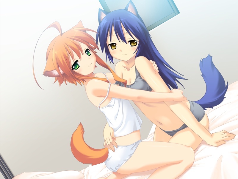 mizuki kotora, kotarou (wanko), mikan (wanko), wanko to kurasou, game cg, 2girls, ahoge, animal ears, bed, black panties, blue hair, blush, breasts, camisole, cleavage, dog ears, dog tail, dutch angle, fang, flat chest, green eyes, grey panties, hug, long hair, midriff, multiple girls, naughty face, orange hair, pajamas, panties, red hair, short hair, sitting, smile, strap slip, tail, underwear, underwear only, white panties, yellow eyes, yuri