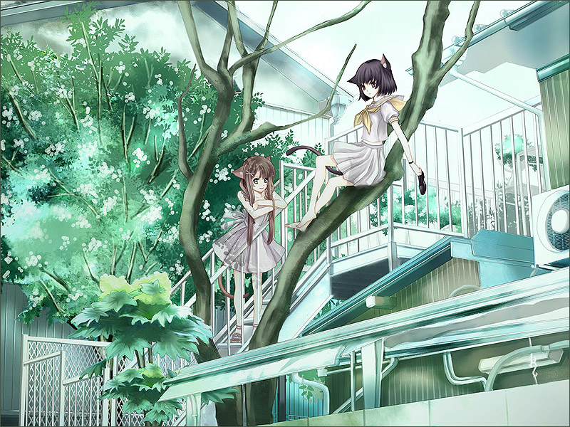 nozomi fuuten, original, 2girls, air conditioner, animal ears, cat ears, cat tail, fence, in tree, multiple girls, school uniform, serafuku, sitting, sitting in tree, stairs, tail, tree, urban