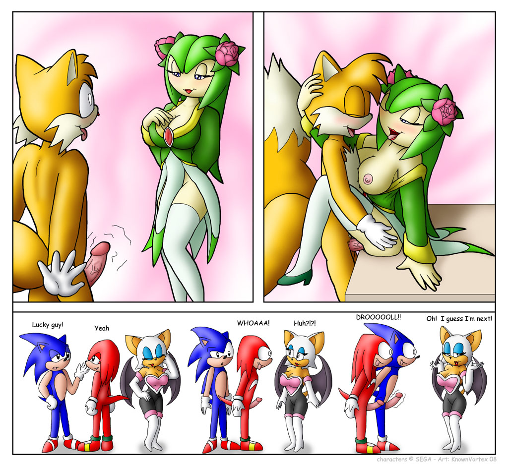 cosmo, knuckles the echidna, rouge the bat, sonic the hedgehog, tails (sonic), sonic (series), breasts, comic, erection, furry, knownvortex, nipples, penis