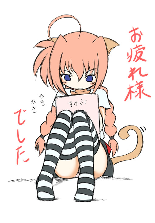 sch, vita (nanoha), lyrical nanoha, mahou shoujo lyrical nanoha, mahou shoujo lyrical nanoha a's, 00s, 1girl, animal ears, cat ears, female focus, shirt, solo, striped clothes, striped thighhighs, t-shirt, thighhighs