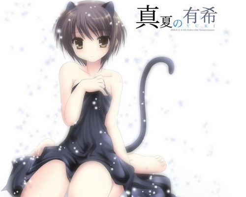 lowres, tagme