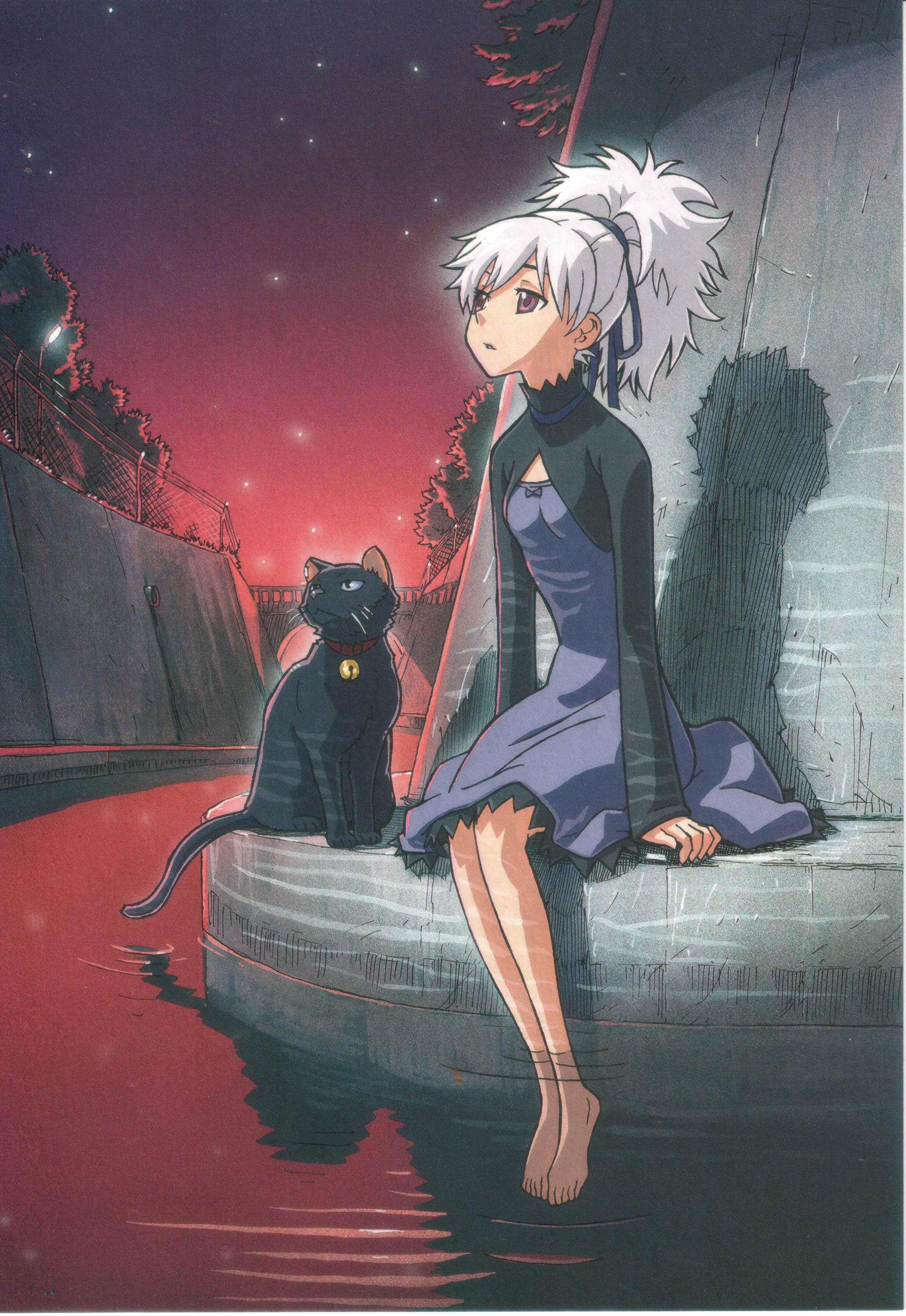 iwahara yuuji, yuji iwahara, mao (darker than black), yin (darker than black), darker than black, absurdres, highres, scan, 00s, arms at sides, barefoot, black cat, cat, dress, full body, outdoors, plant, ponytail, ripples, shrug (clothing), sitting, solo, star (sky), white hair