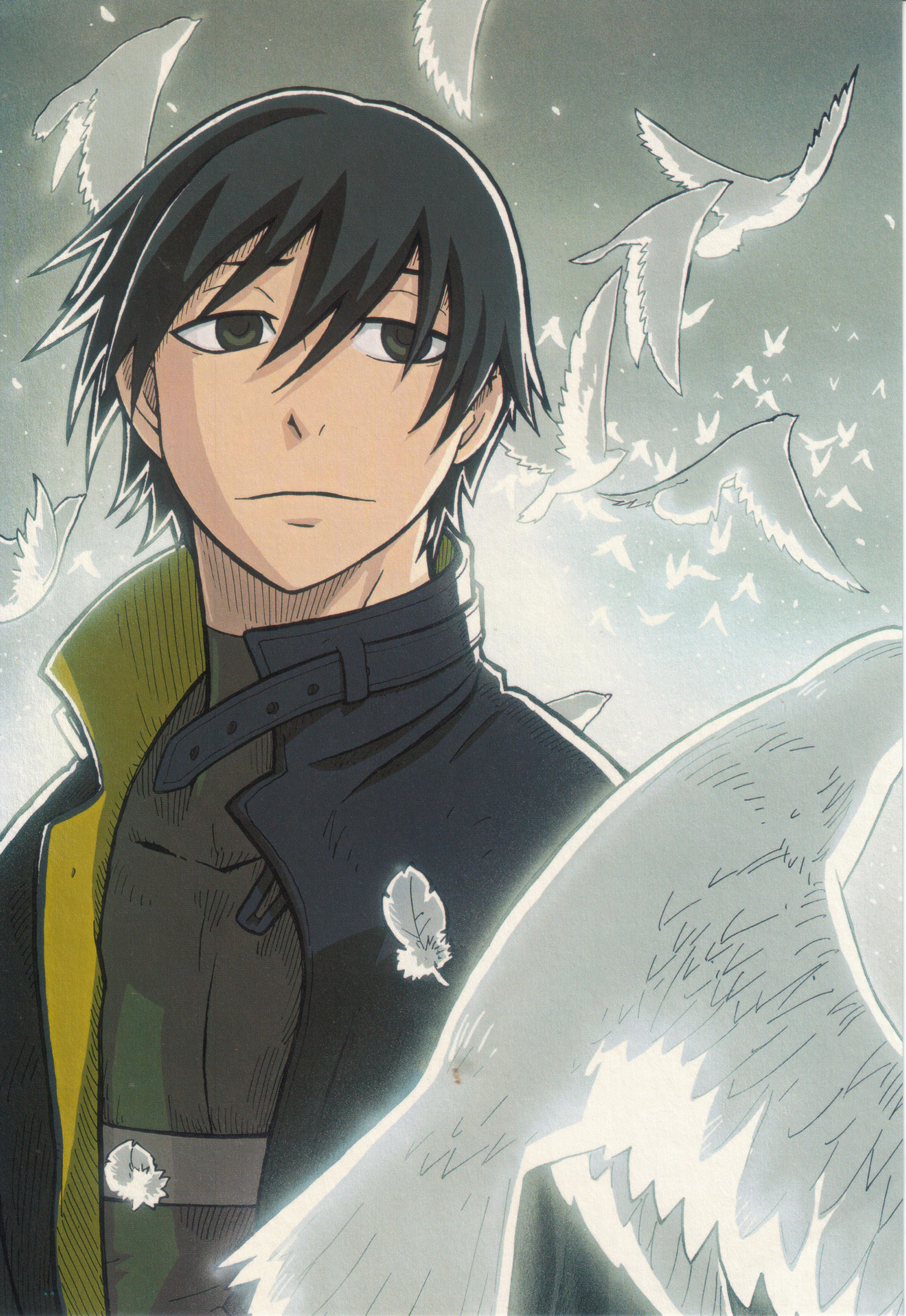 hei (darker than black), darker than black, absurdres, highres, scan, 00s, 1boy, bird, hair between eyes, male focus, solo