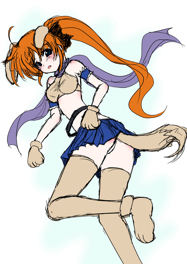 frapowa, takamachi nanoha, lyrical nanoha, mahou shoujo lyrical nanoha, mahou shoujo lyrical nanoha strikers, 00s, animal ears, dog ears, tail