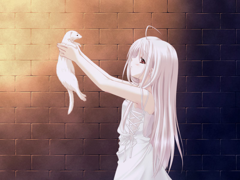 shouna mitsuishi, cookie (white clarity), rino, rino (white clarity), white clarity, game cg, 1girl, albino, brick wall, female focus, ferret, long hair, pale skin, solo, white hair