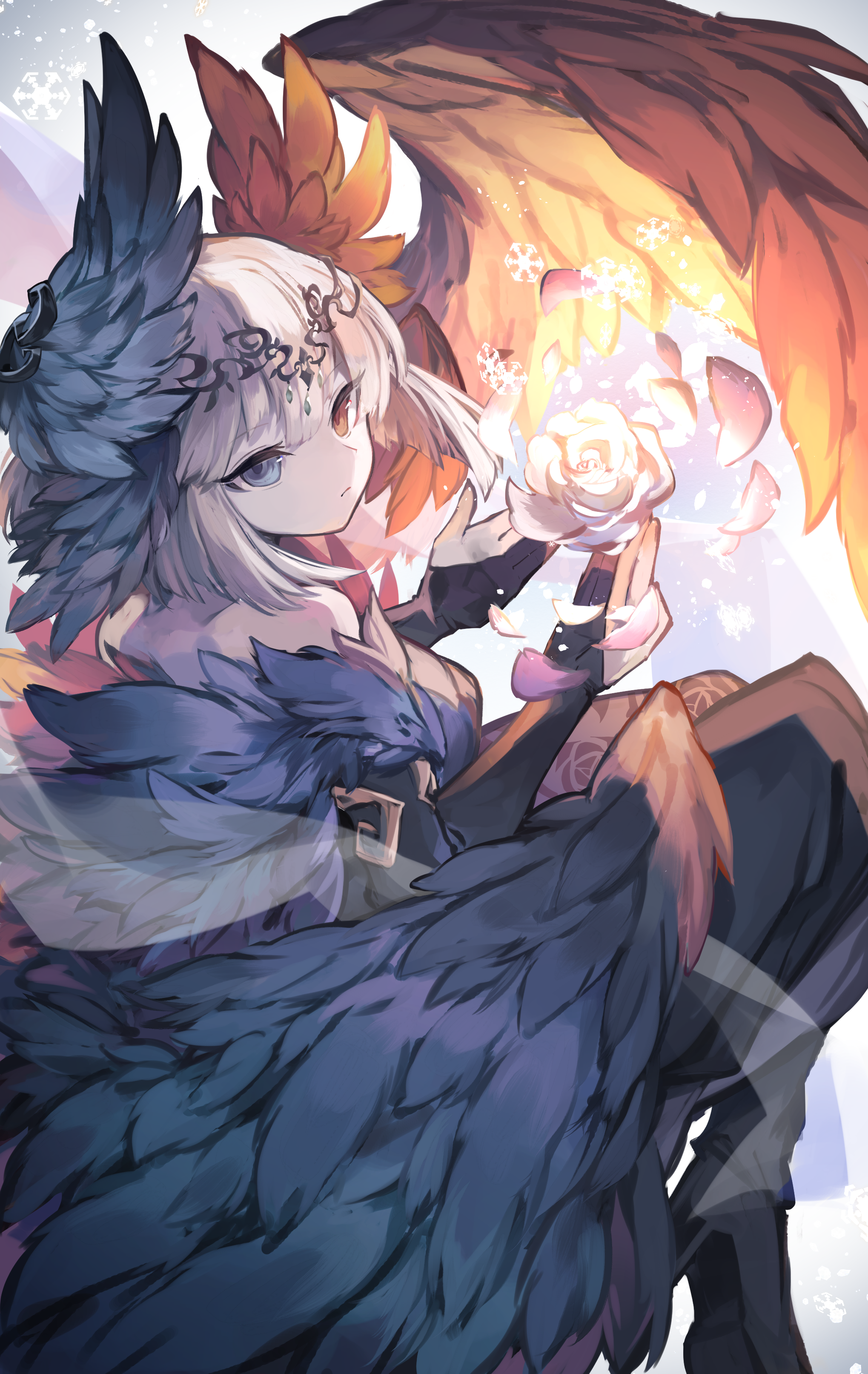 kuuron (moesann17), reeche (p&d), puzzle & dragons, absurdres, highres, 1girl, blue eyes, blue wings, flower, head wings, headpiece, heterochromia, orange eyes, orange wings, petals, rose, rose petals, short hair, solo, two-tone wings, white flower, white hair, white rose, wings